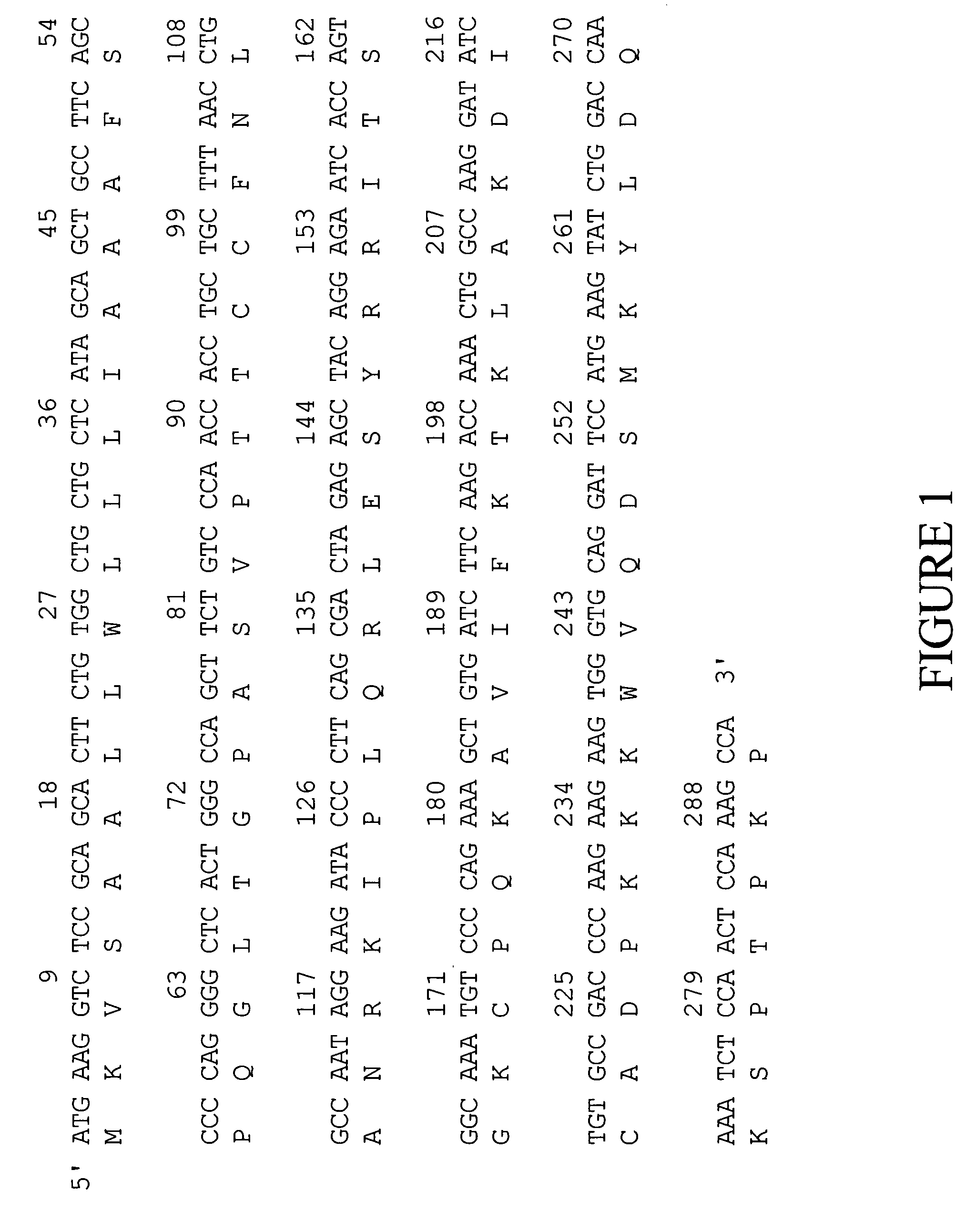 Chemokine PANEC-1 polynucleotides and compositions and methods related thereto