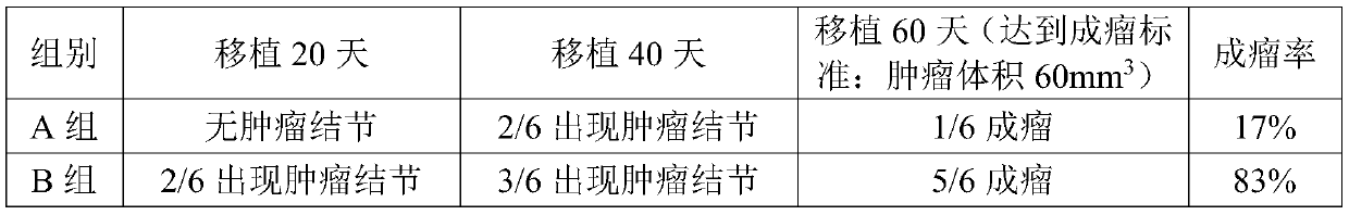 Method for building triple negative breast cancer living tumor tissue mouse orthotopic transplantation model