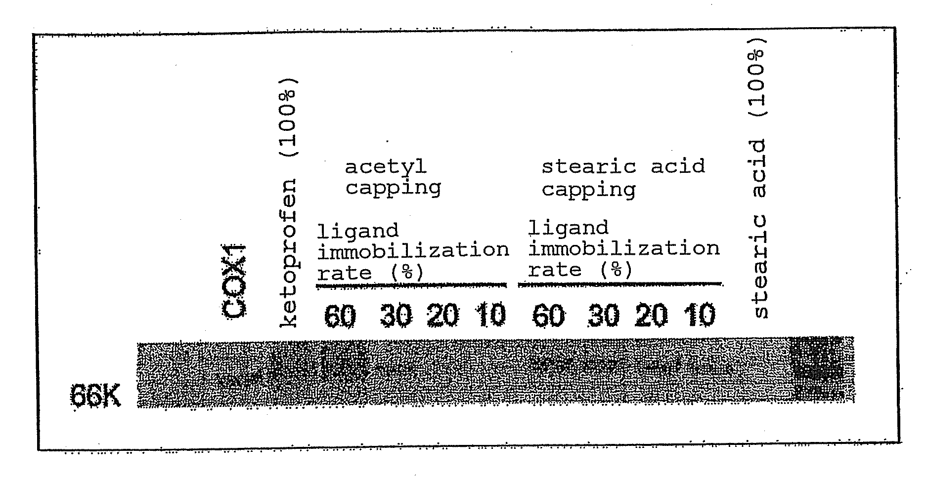 Method for effective search for target molecule