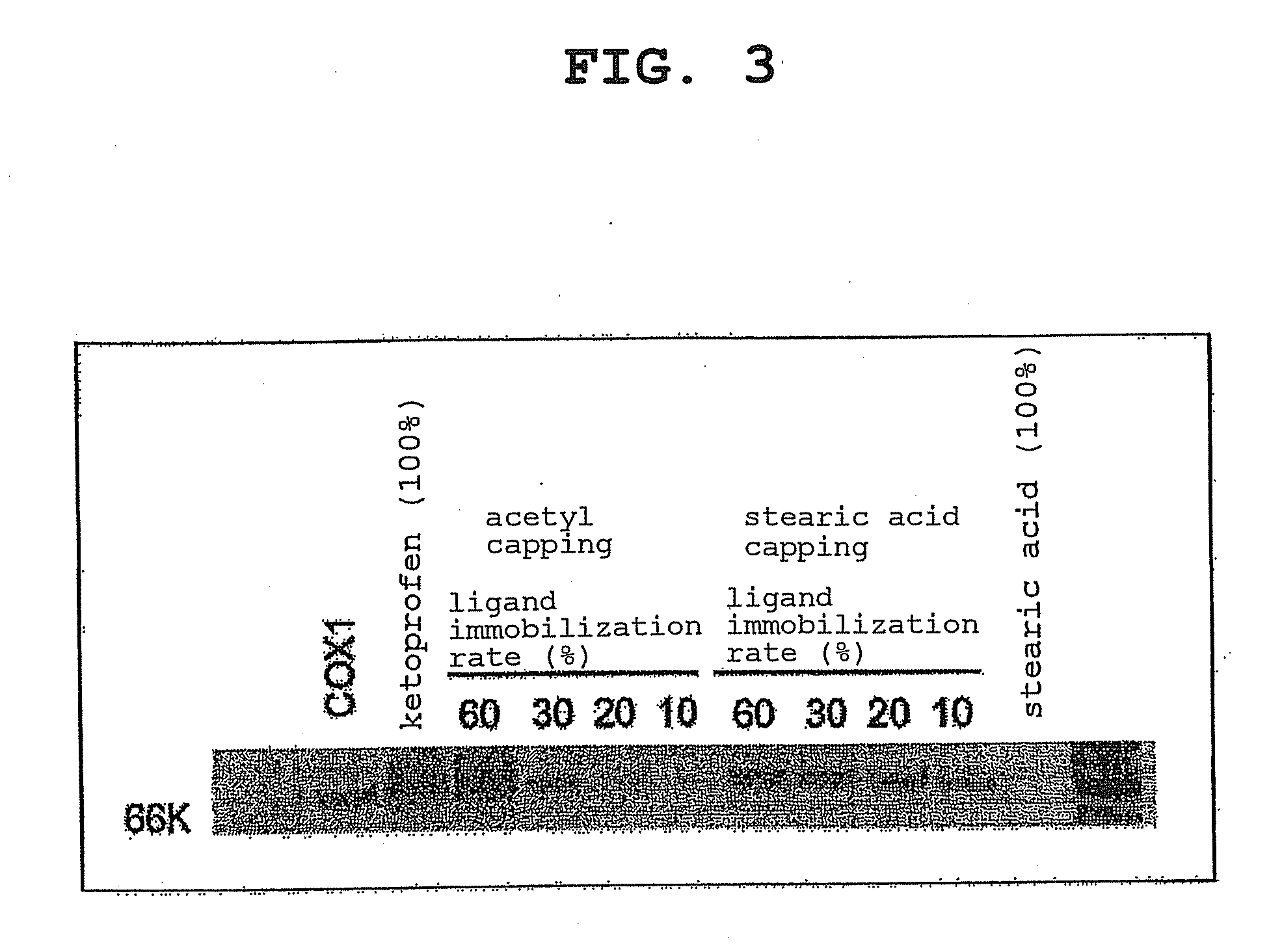 Method for effective search for target molecule