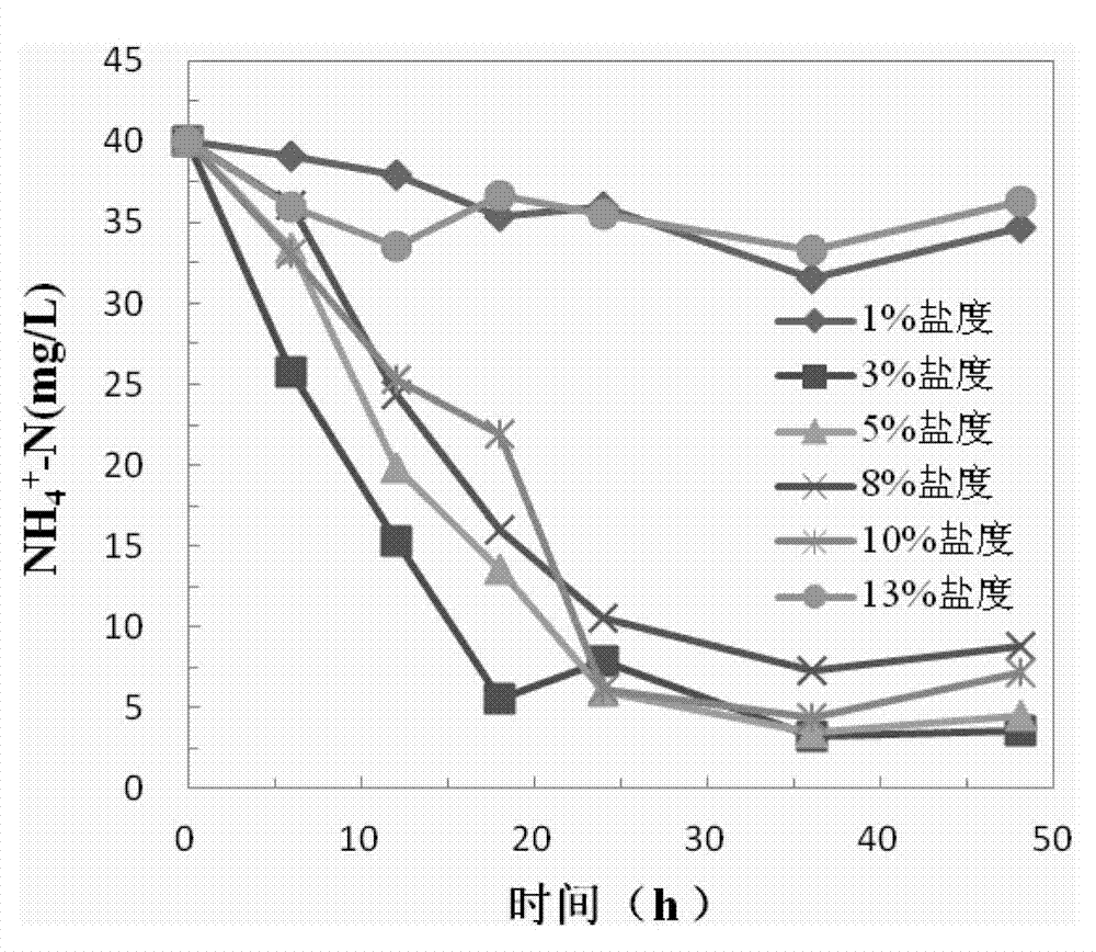 Application of salt-tolerant nitrogen and phosphorus removing bacillus altitudinis to wastewater treatment