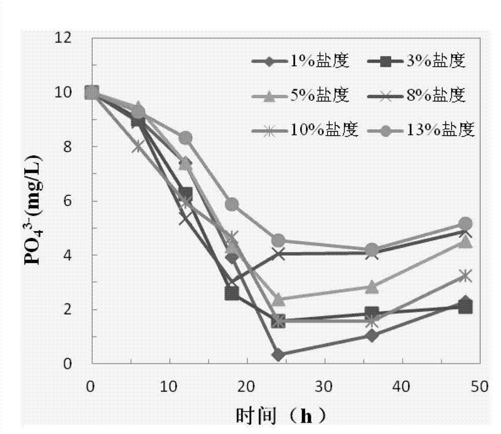 Application of salt-tolerant nitrogen and phosphorus removing bacillus altitudinis to wastewater treatment