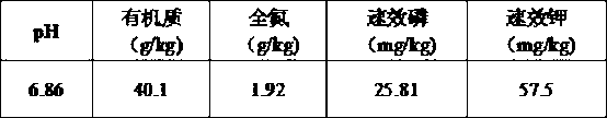 Method for cultivating organic selenium-enriched rice