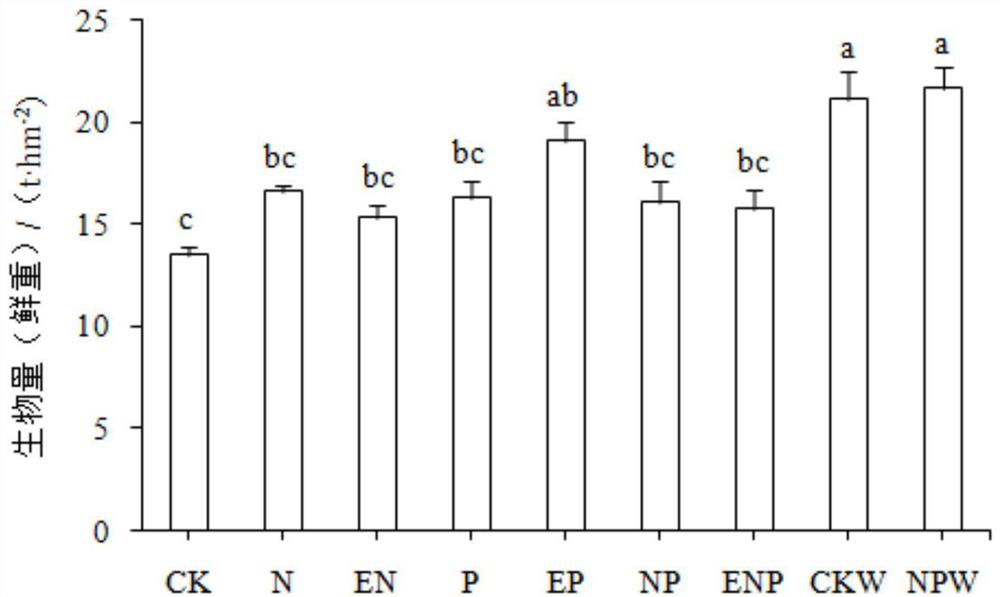 Method for reducing application and increasing efficiency of chemical fertilizers for corn based on water and fertilizer regulation of vicia villosa