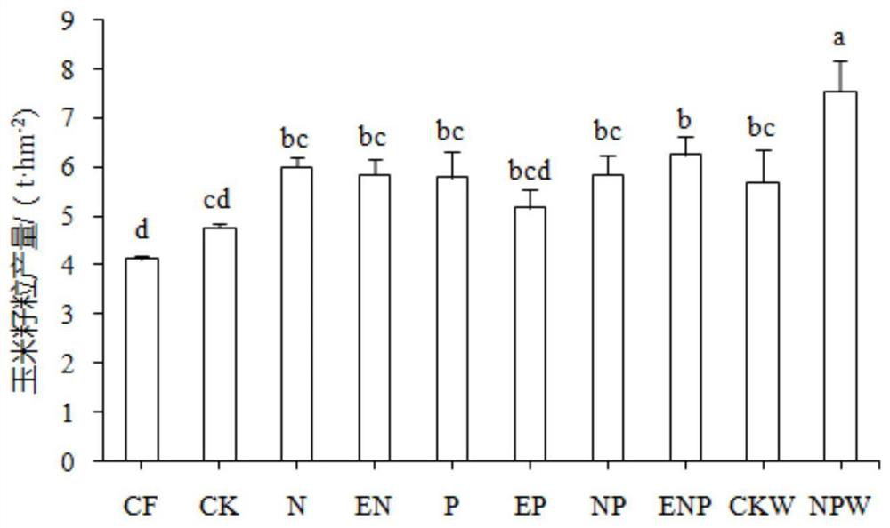 Method for reducing application and increasing efficiency of chemical fertilizers for corn based on water and fertilizer regulation of vicia villosa