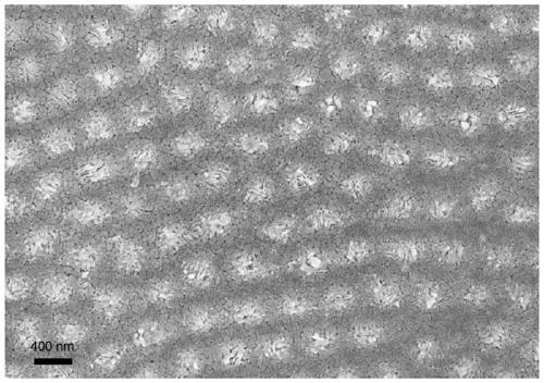 Preparation method of cathode material of lithium ion battery and related product thereof