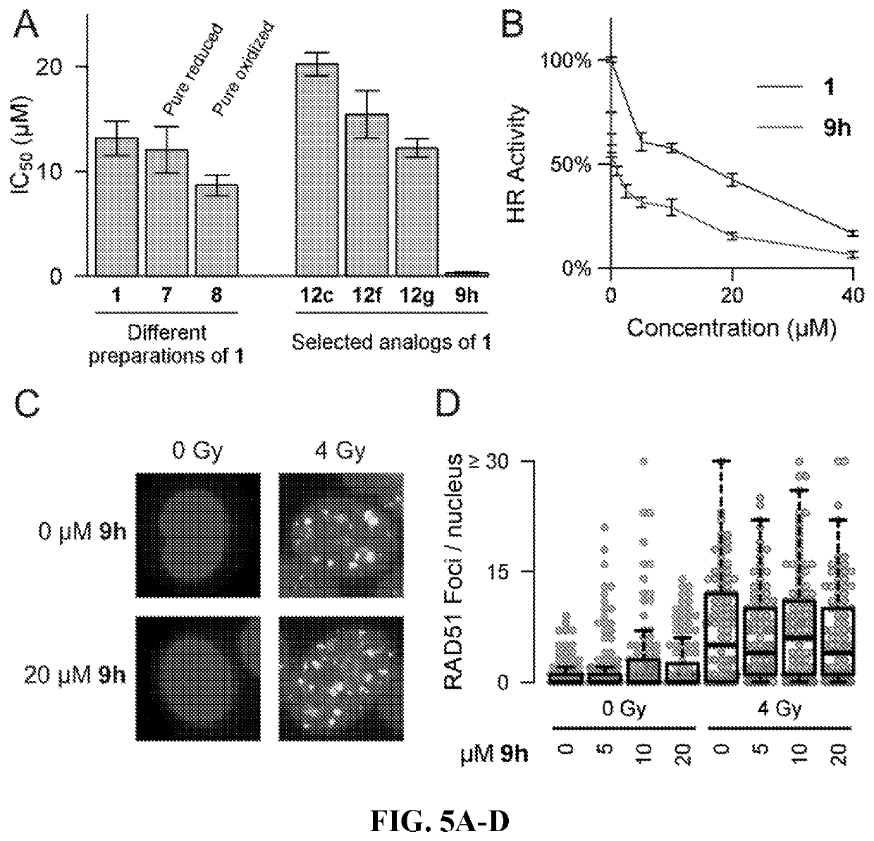 Small molecules inhibitors of RAD51