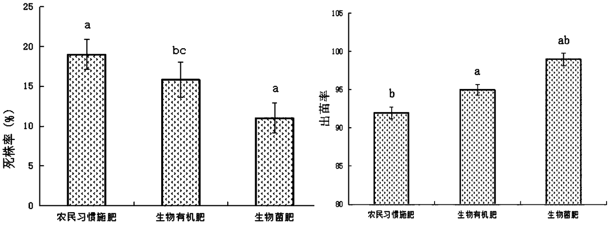 Soil improvement method for reducing successive cropping obstacles of greenhouse watermelons