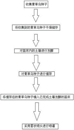 Method for increasing germination rates of aconitum vilmorimianum kom seeds