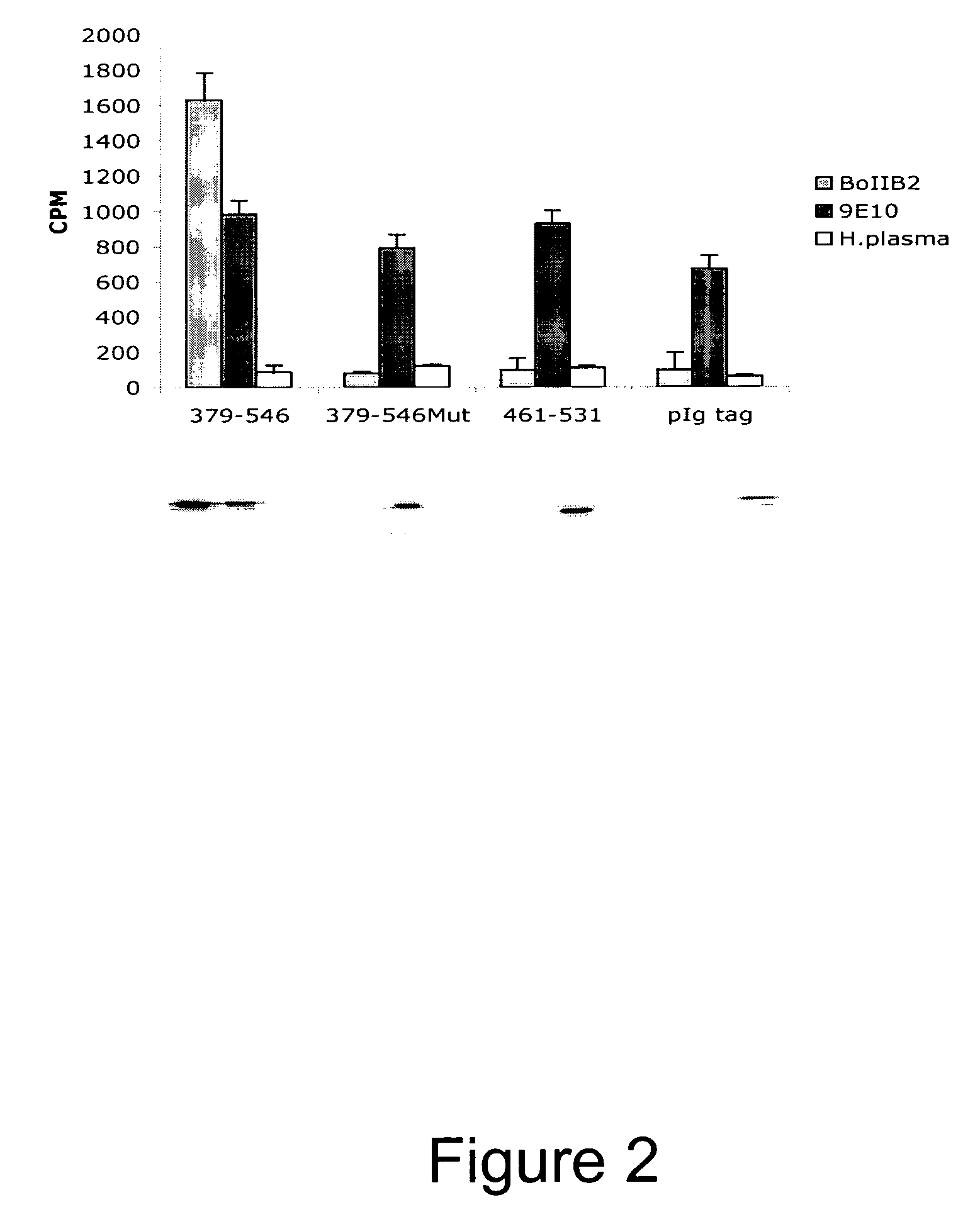 Novel Anti-Factor VIII Antibodies