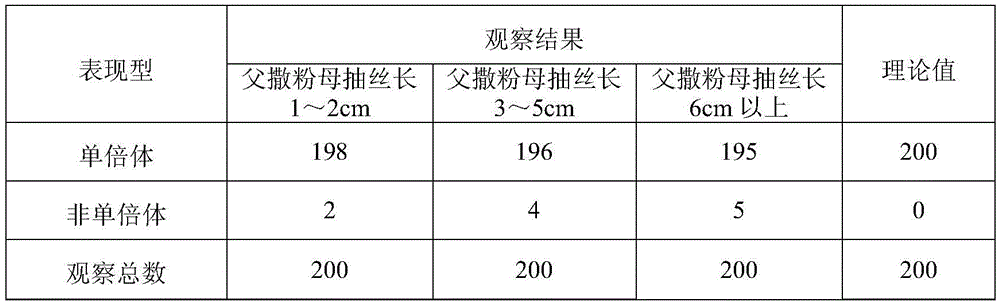 A kind of maize haploid induction method