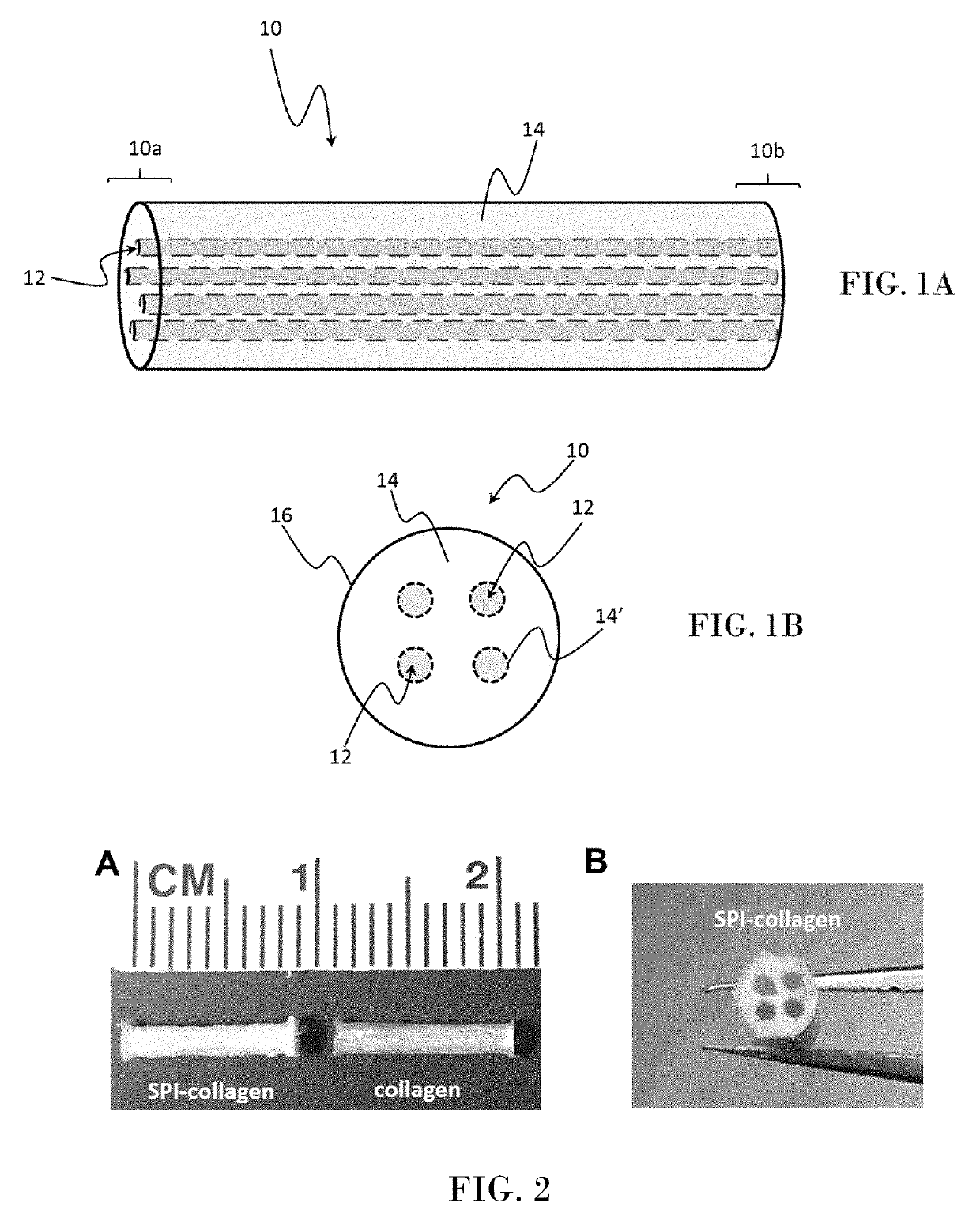 Composite neural conduit