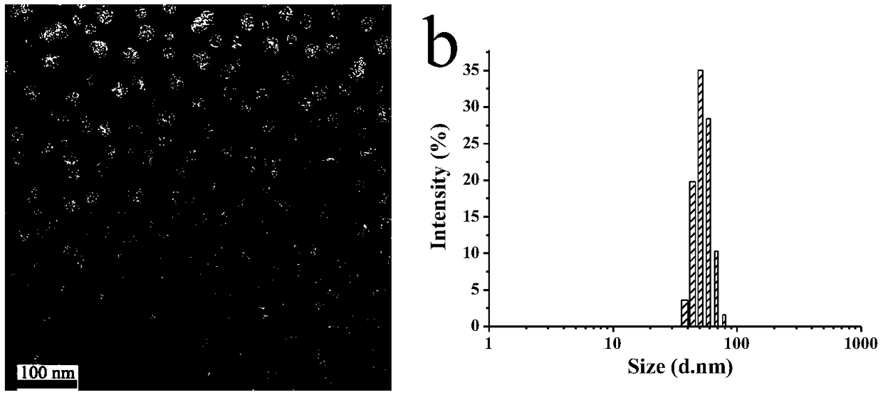 Synthesis of beta-CD-LA (cyclodextrin-linoleic acid) molecules and application of aggregate formed by beta-CD-LA molecules as drug delivery system