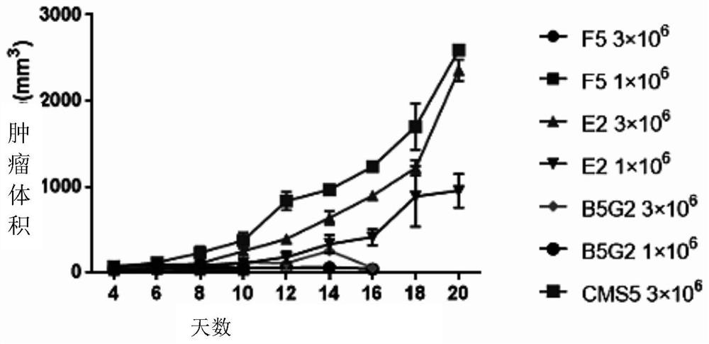 Novel vaccine for preventing and treating Merkel cell carcinoma