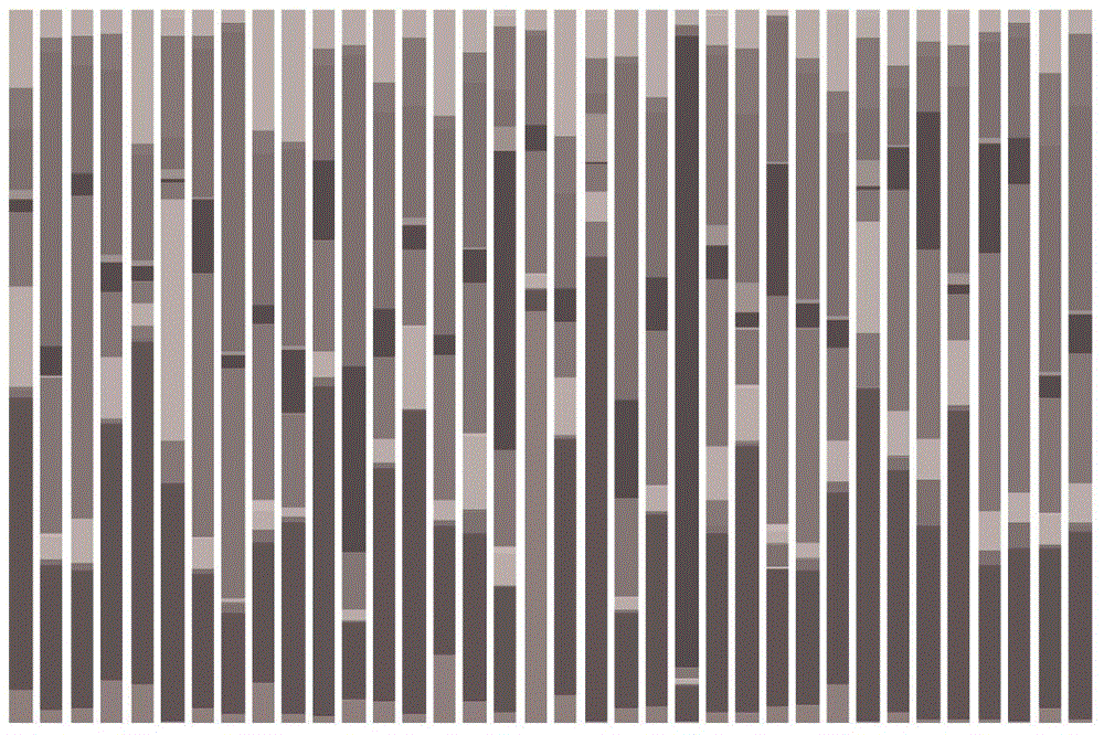 A sputum collection method for the detection of respiratory bacteria 16s rRNA gene sequence