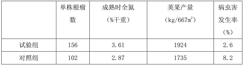 Molybdenum-cobalt-iron rhizobium synergist and preparation method thereof