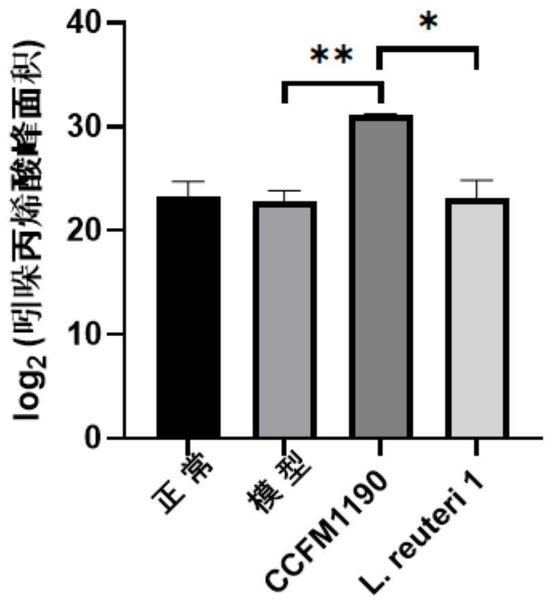 Lactobacillus reuteri capable of improving indole acrylic acid to regulate specific IgE