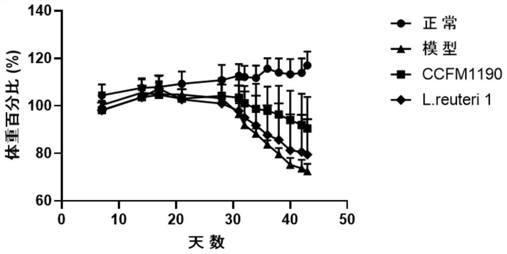 Lactobacillus reuteri capable of improving indole acrylic acid to regulate specific IgE