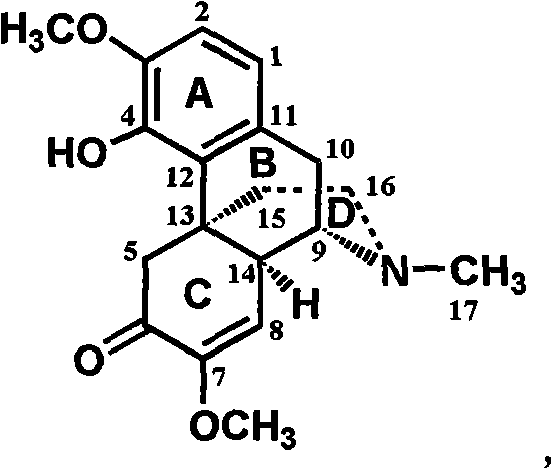 Sinomenine derivative, preparation method and application thereof