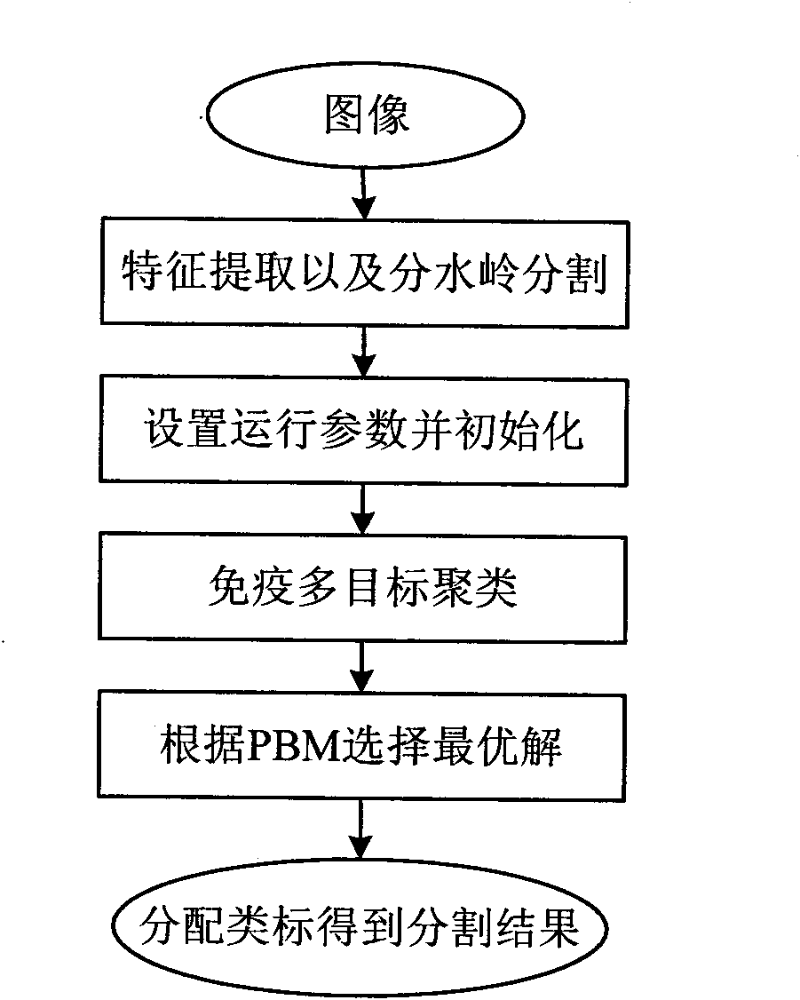 Image dividing method based on immune multi-object clustering