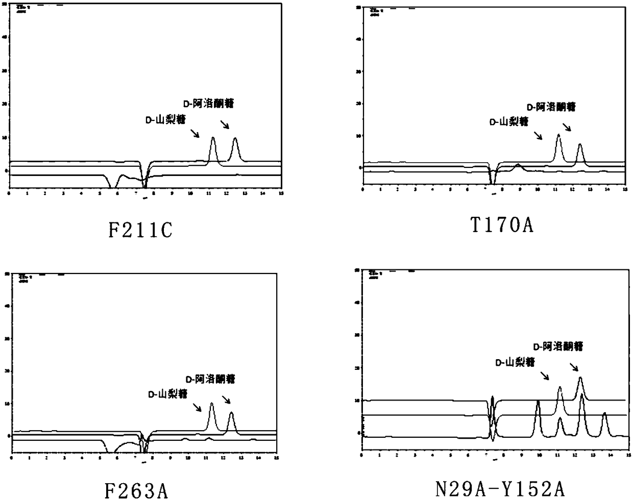 L-rhamnulose-1-phosphate aldolase and application thereof in catalytic synthesis of rare sugar D-psicose