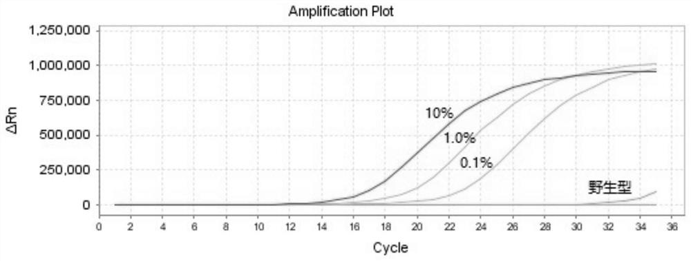 PCR kit for detecting human NRAS gene mutation