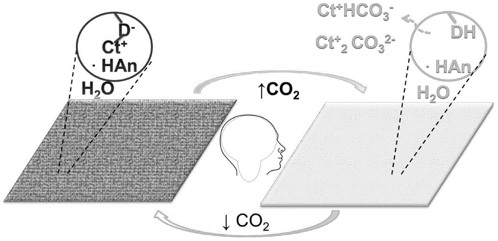 Thin film sensor for detecting carbon dioxide and application of thin film sensor