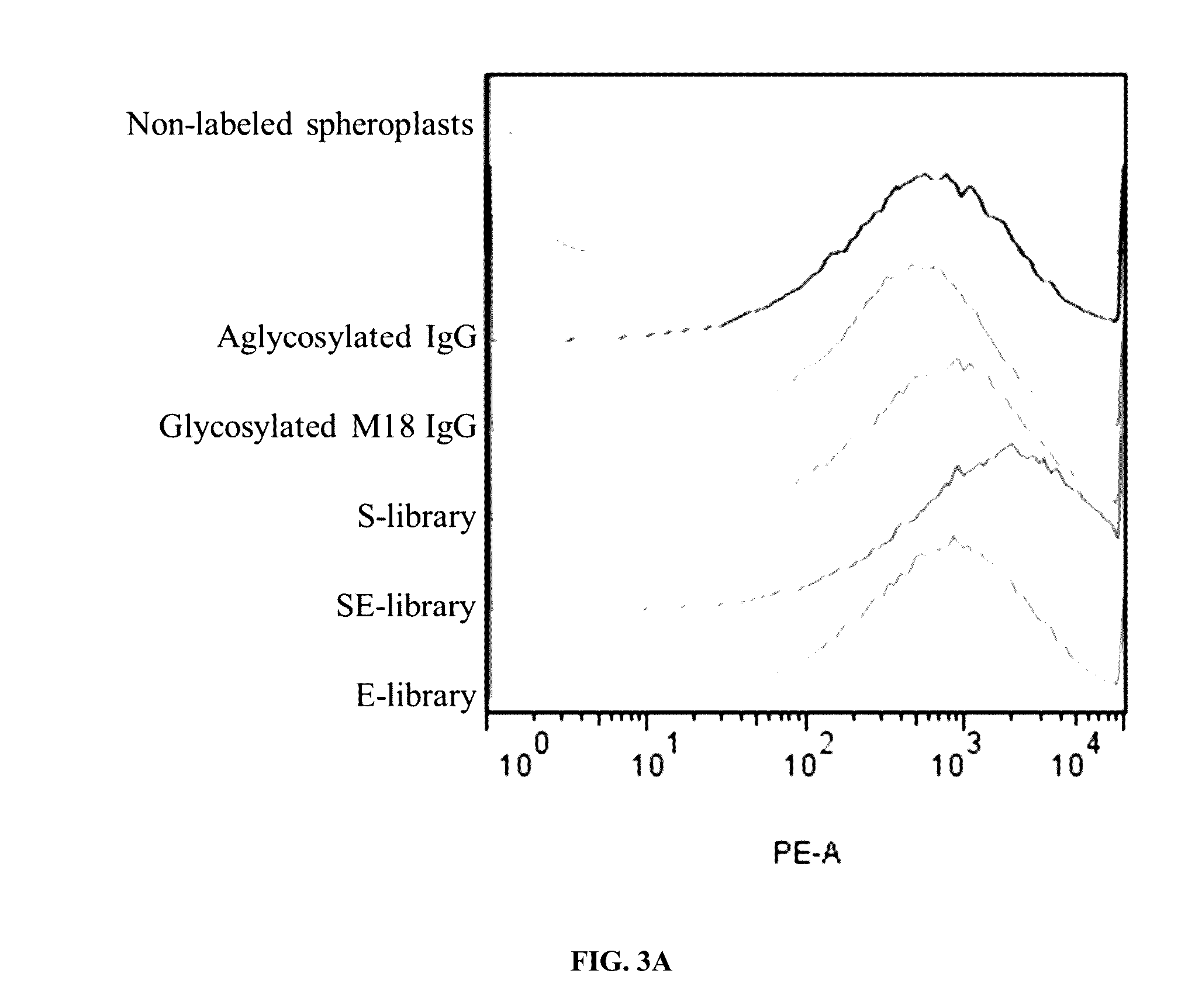 Engineered immunoglobulin fc polypeptides displaying improved complement activation