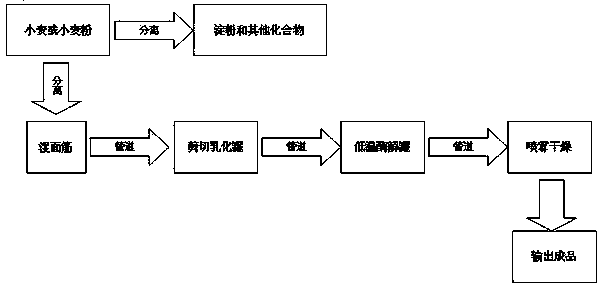 Production process for producing wheat hydrolyzed protein by wet gluten