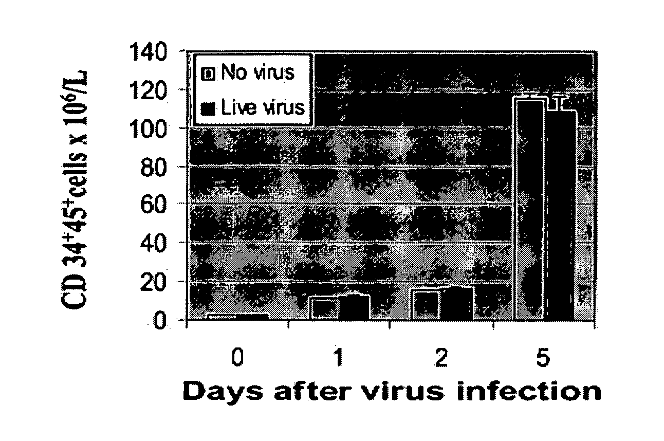 Combination of transplantation and oncolytic virus treatment