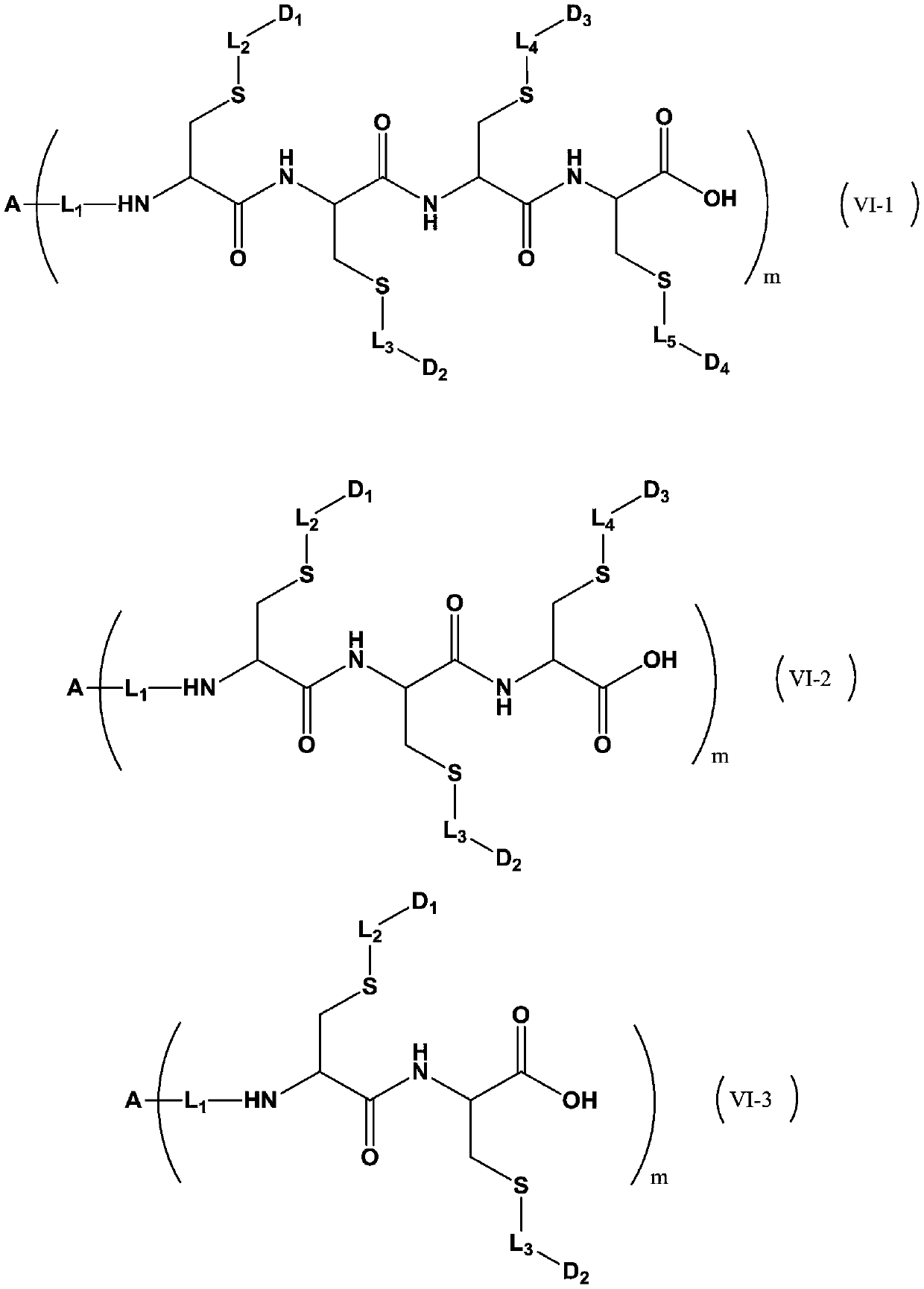 Antibody drug conjugate and application thereof