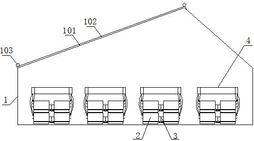 An automated broiler breeder breeding greenhouse for mixed feeding of male and female chickens