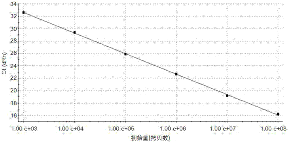 TaqMan-MGB fluorescent quantitative polymerase chain reaction (PCR) detection primer, TaqMan-MGB fluorescent quantitative PCR detection probe and TaqMan-MGB fluorescent quantitative PCR detection method for seneca valley virus (SVV)