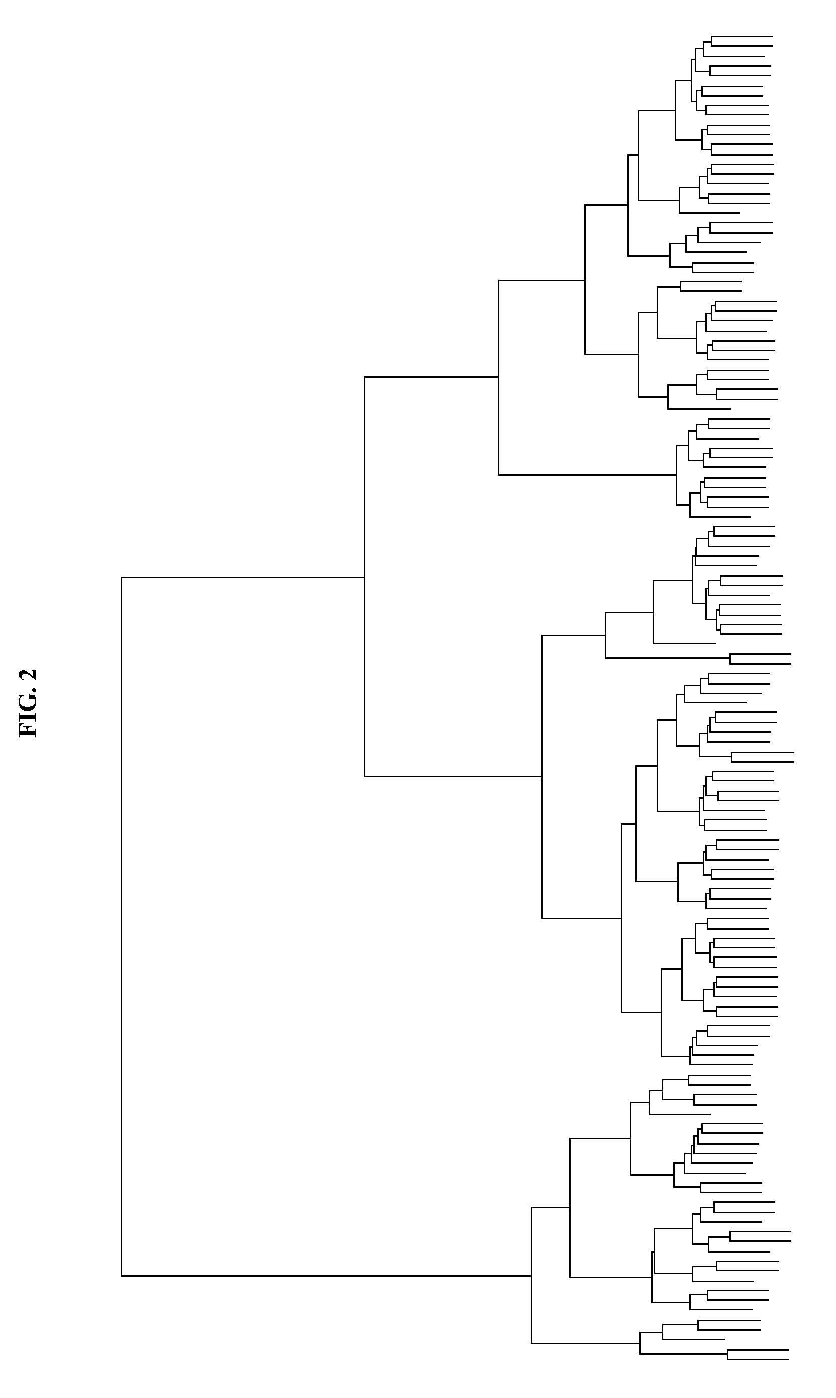 Genomic classification of colorectal cancer based on patterns of gene copy number alterations