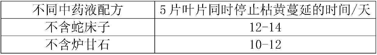 Method for preventing and treating kadsura coccinea leaf blight disease