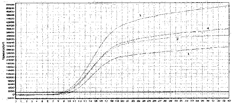 Variant porcine reproductive and respiratory syndrome virus (PRRSV) TaqMan fluorescence quantitative RT-PCR detecting kit and application thereof