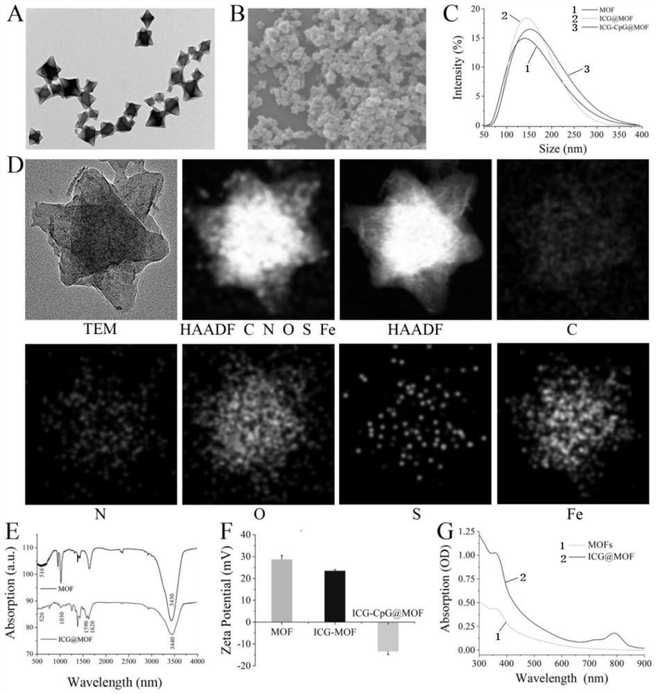 Immunologic adjuvant functionalized metal organic framework material as well as preparation method and application thereof