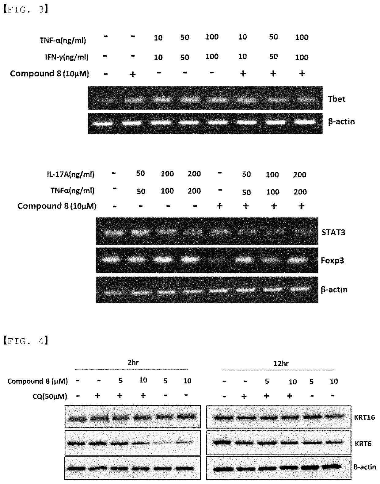 Autophagy activation-induced compound for improving skin inflammation for aging