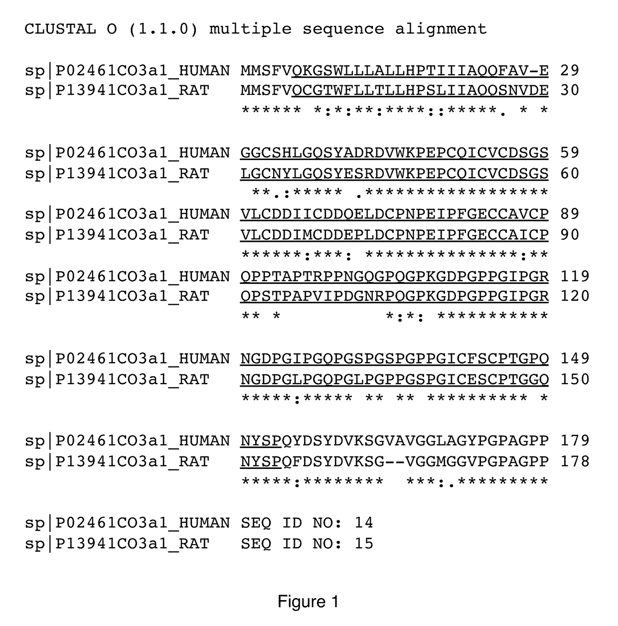 PIIINP neo-epitope assay