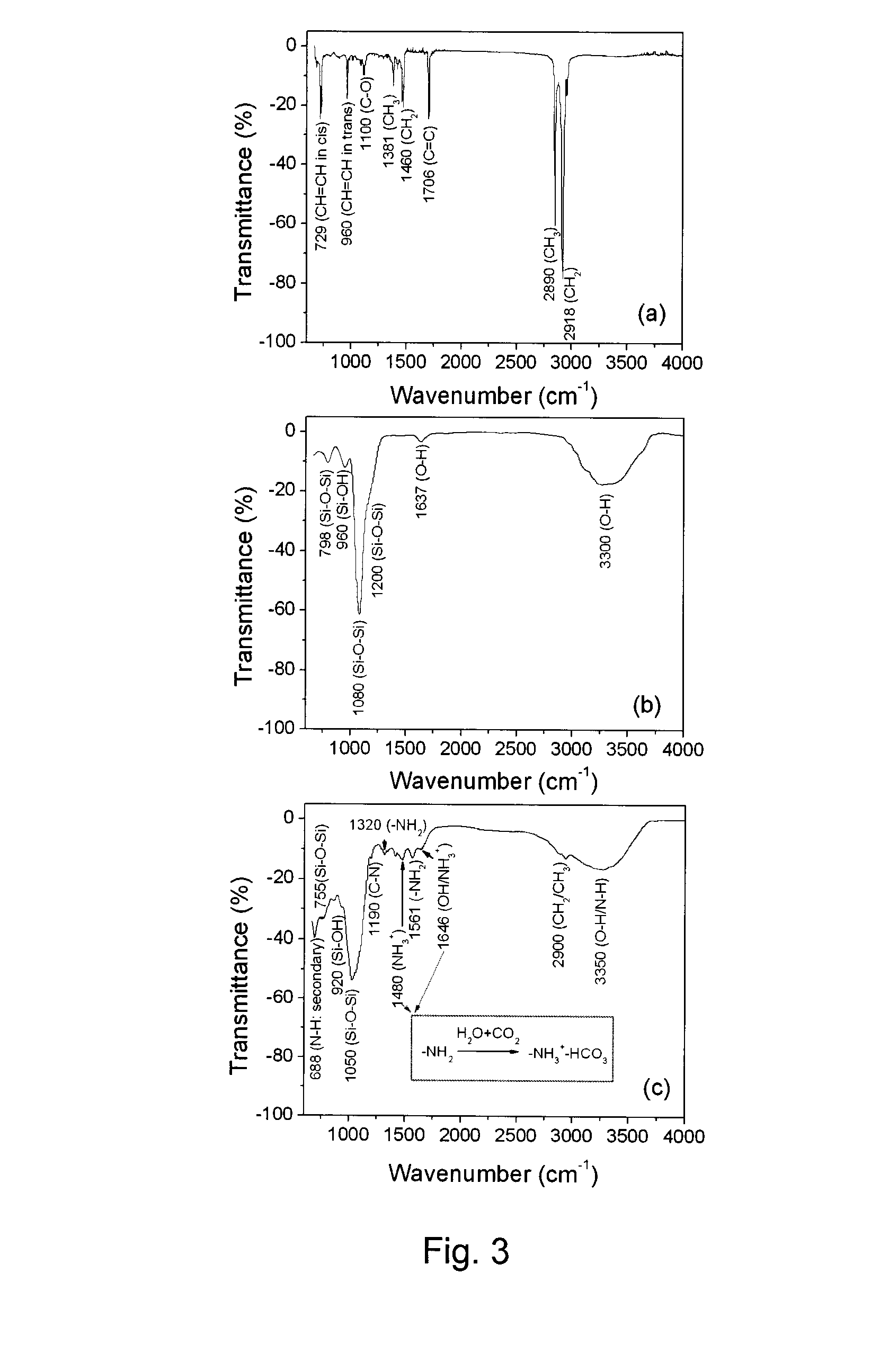 Magnetic Nanoparticles and Uses Thereof