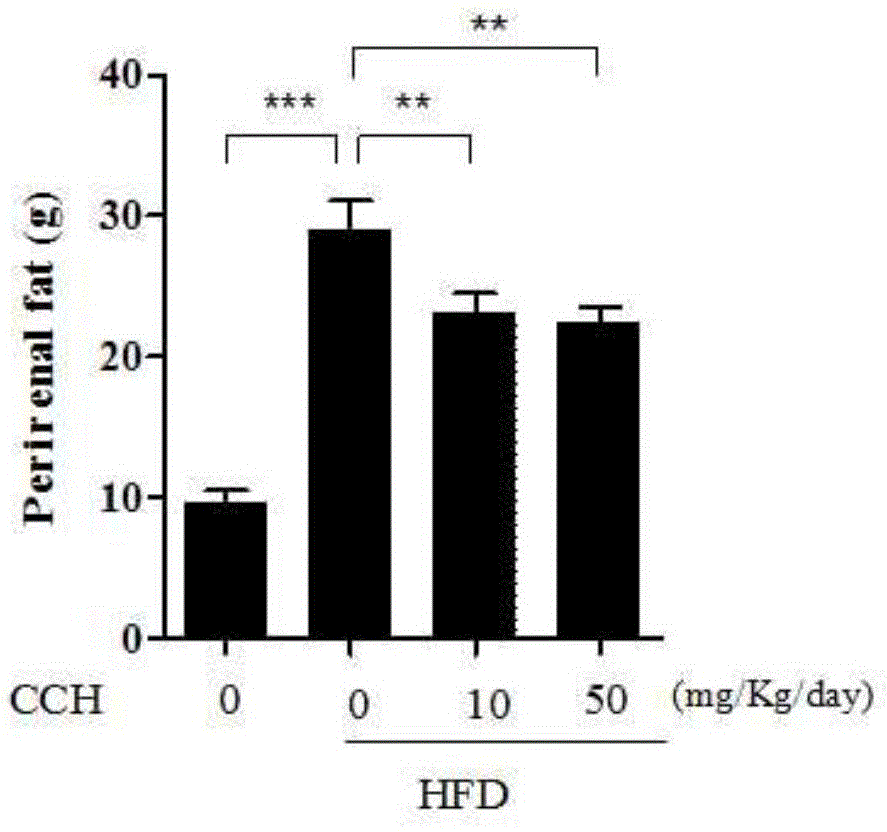 Application of Hydrogen Molecular Solid Carrier in Preparation of Health Products and Medicines for Suppressing Obesity