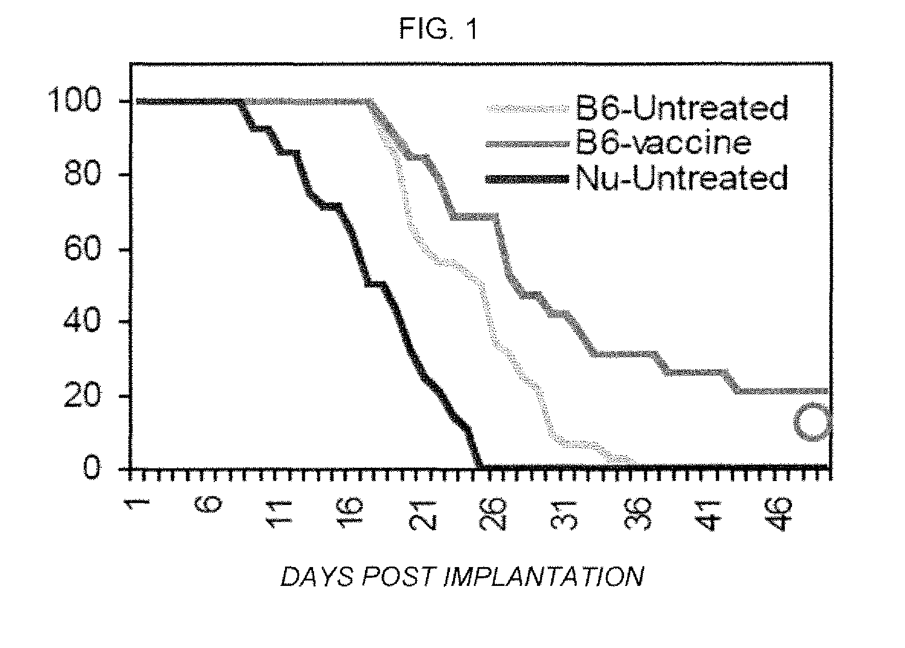 Use of toll-like receptor ligands as adjuvants to vaccination therapy for brain tumors