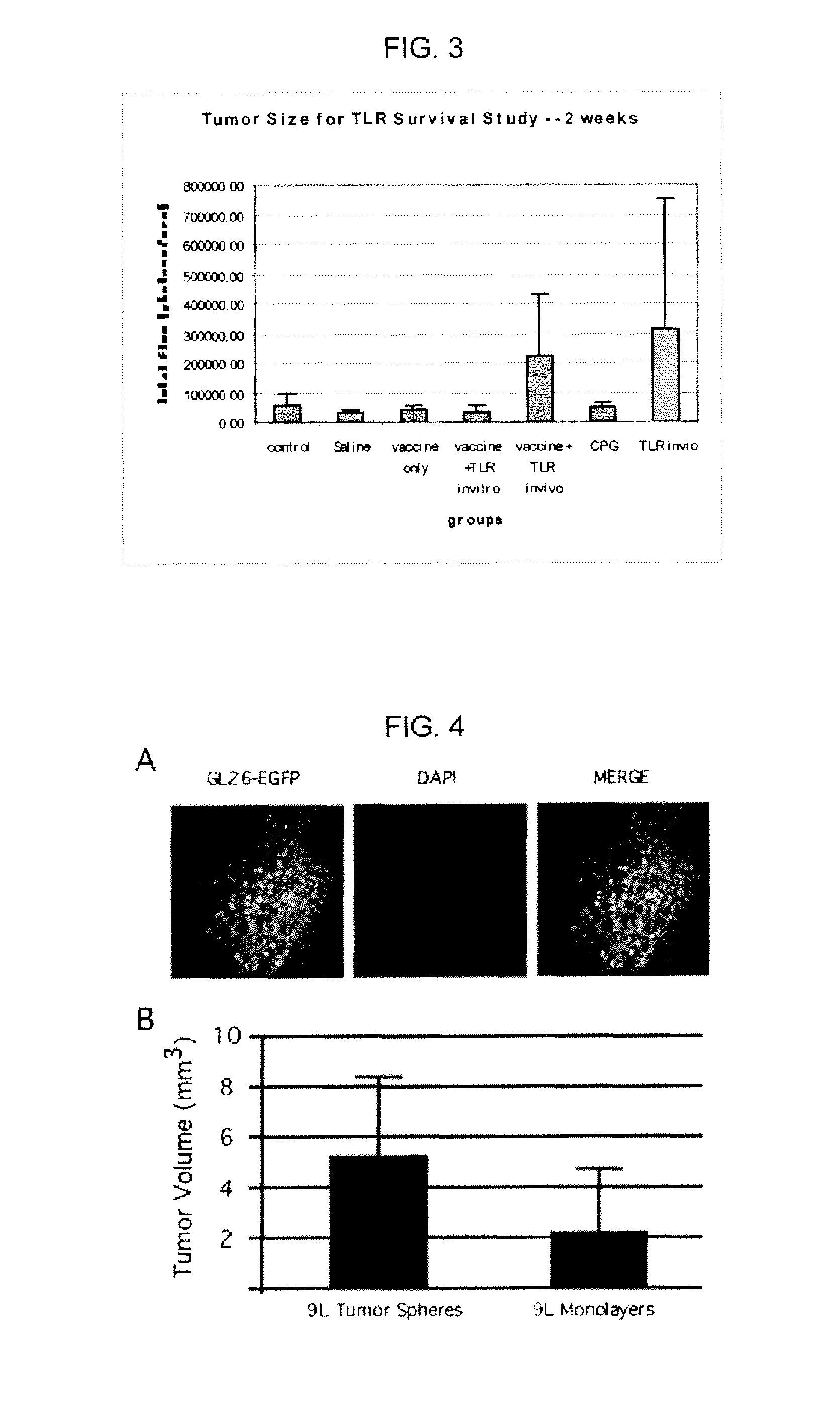 Use of toll-like receptor ligands as adjuvants to vaccination therapy for brain tumors