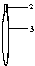 Electrochemical treatment method suitable for magnesium alloy interventional device and auxiliary equipment