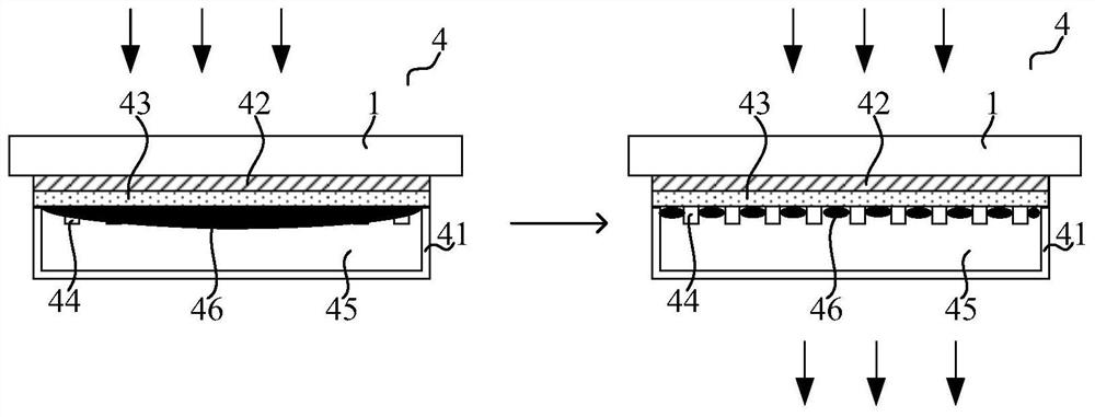 Color film substrate, display module, display panel and display device