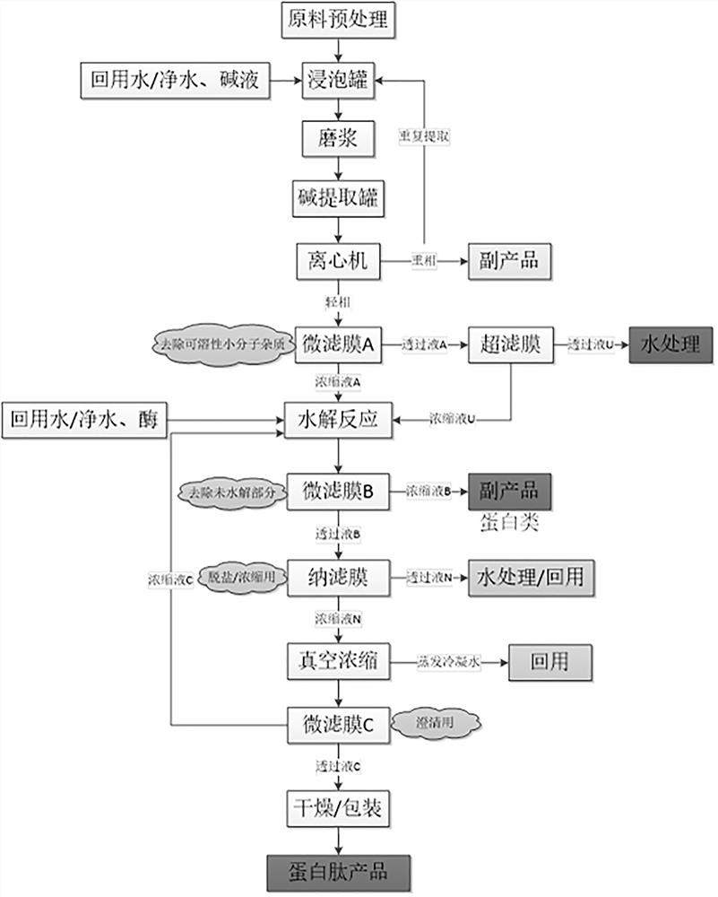 Clean production method for industrialized production of plant protein peptide