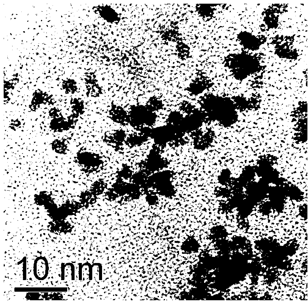 Tree-type high-molecular polyamide-amine wrapped platinum nanometer particles, its preparation method and applications