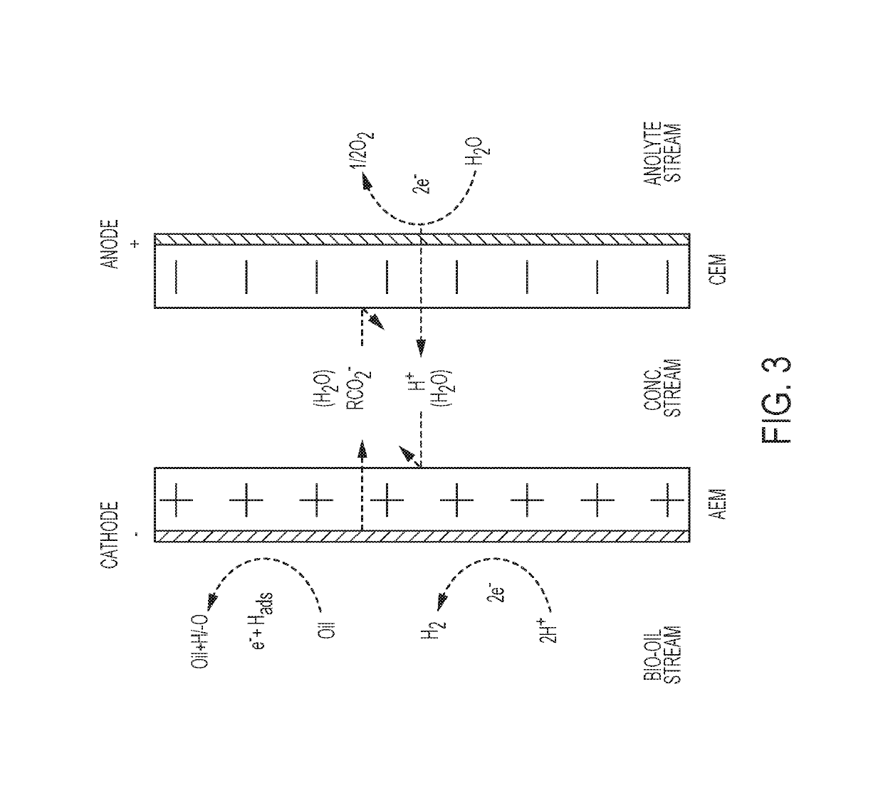 System and process for electrochemical upgrading of bio-oils and biocrudes