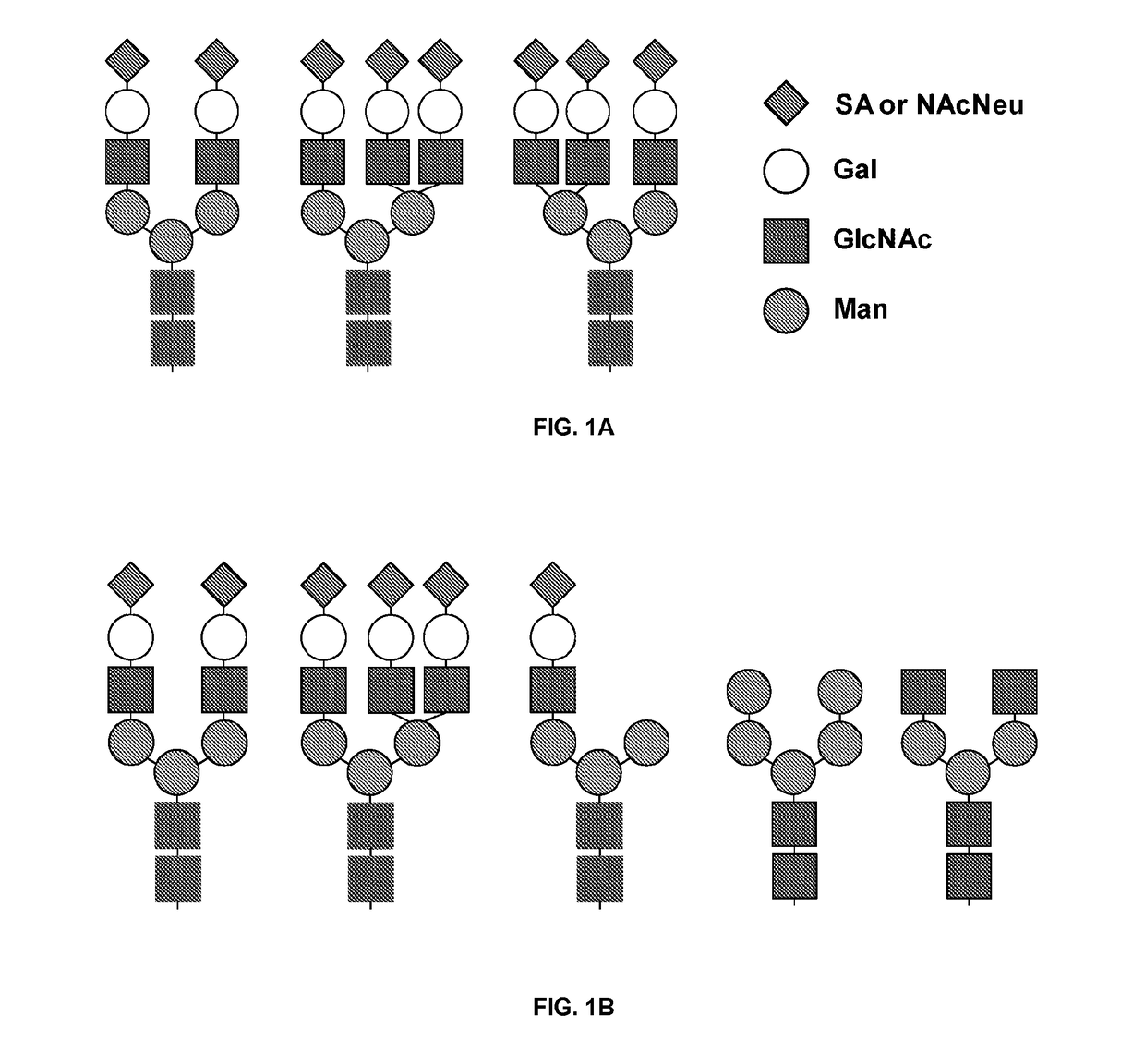 Detection of cerebrospinal fluid