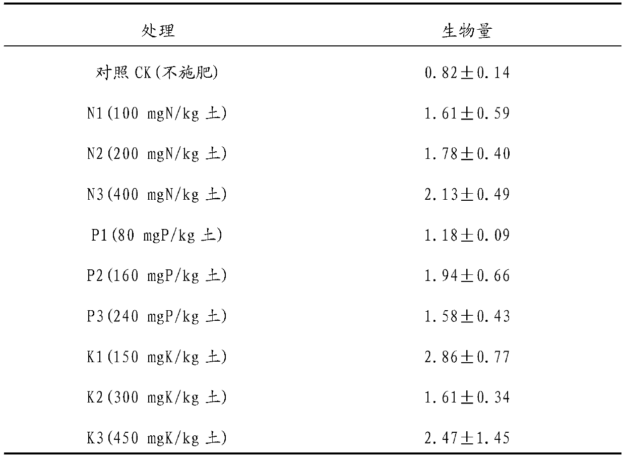 A cultivation method for increasing the biomass of Rhodiola angustifolia